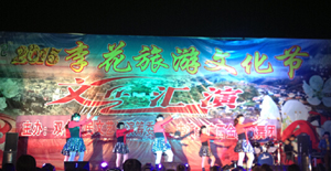 美丽钱排镇双合村举行烟花文艺晚会 欢渡春节 美丽钱排镇双合村举行烟花文艺晚会 欢渡春节